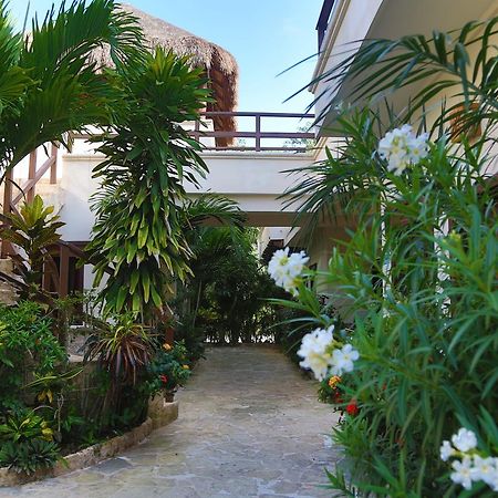 Xibalba Hotel Dive Center 툴룸 외부 사진