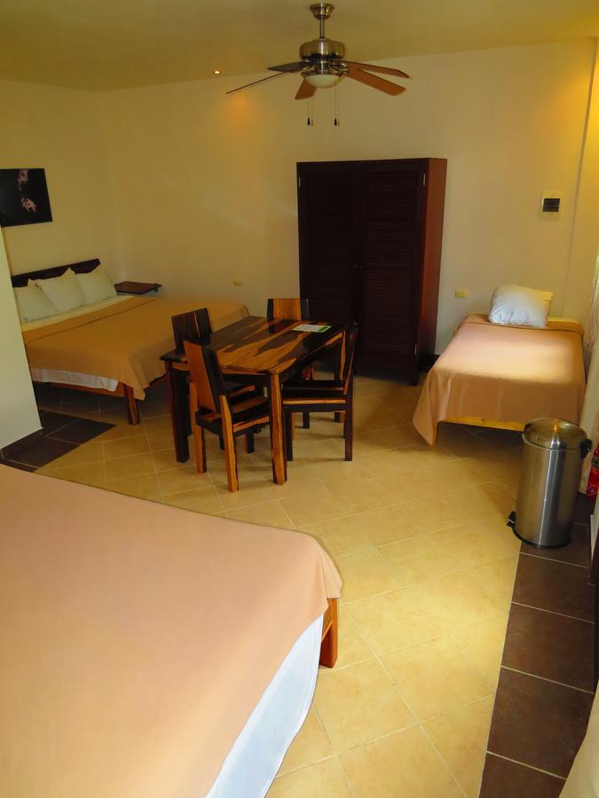 Xibalba Hotel Dive Center 툴룸 객실 사진