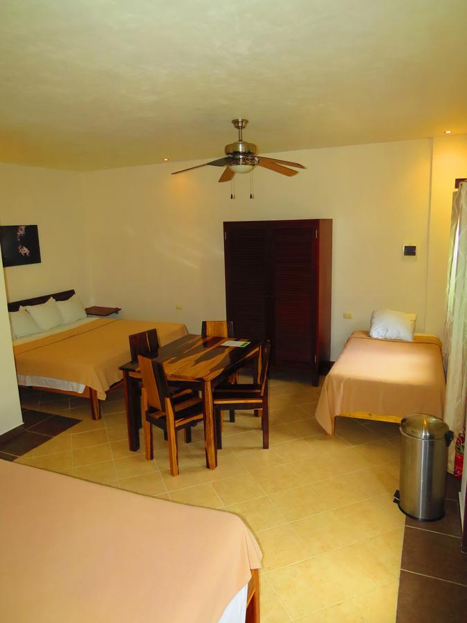 Xibalba Hotel Dive Center 툴룸 객실 사진