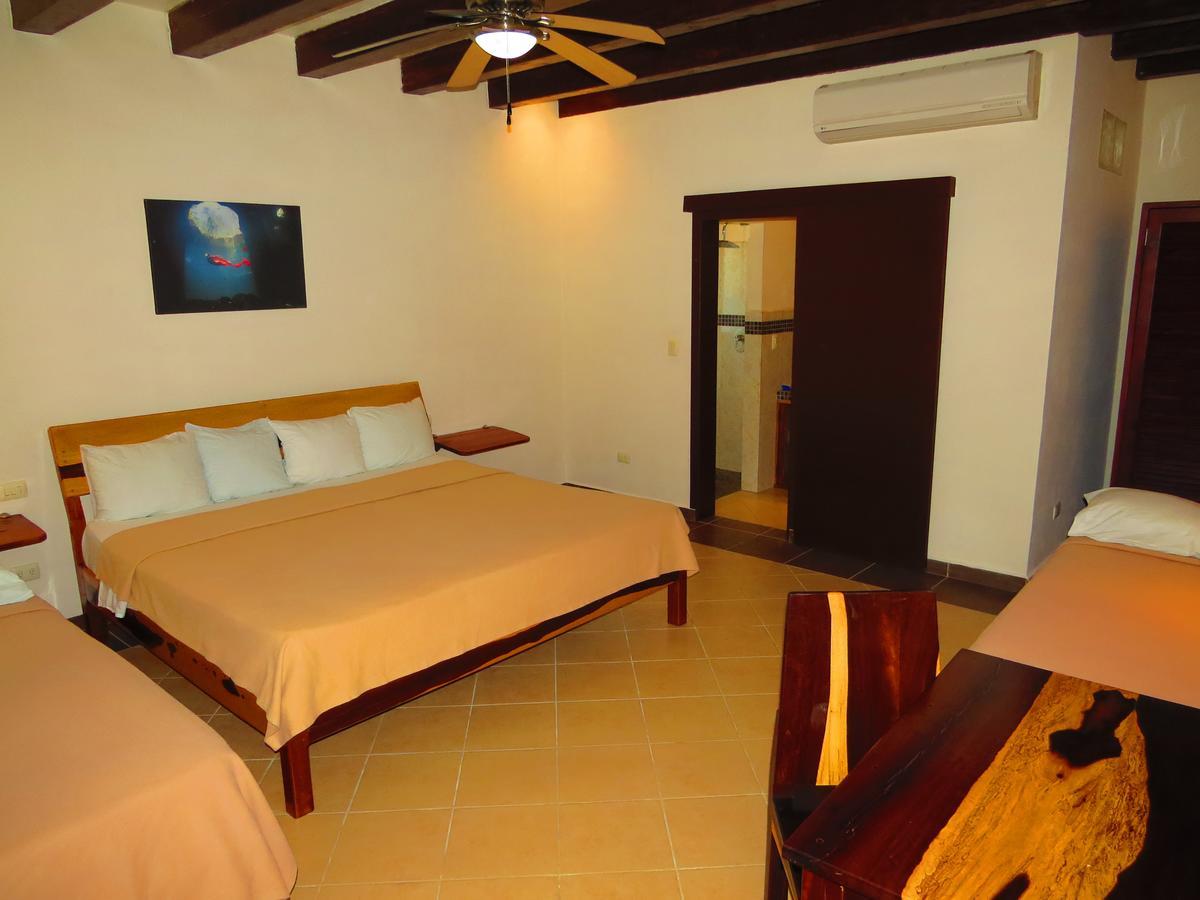 Xibalba Hotel Dive Center 툴룸 객실 사진